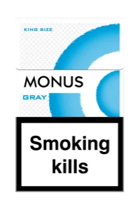 MONUS GRAY King size